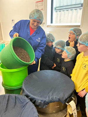 Pupils view ingredients at a local organic bakery and local cheese producers